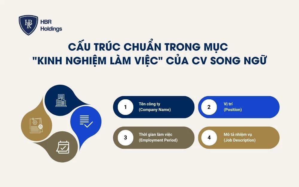 Cấu trúc chuẩn trong mục “Kinh nghiệm làm việc” của CV