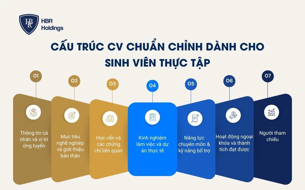 Cấu trúc CV chuẩn chỉnh dành cho sinh viên thực tập