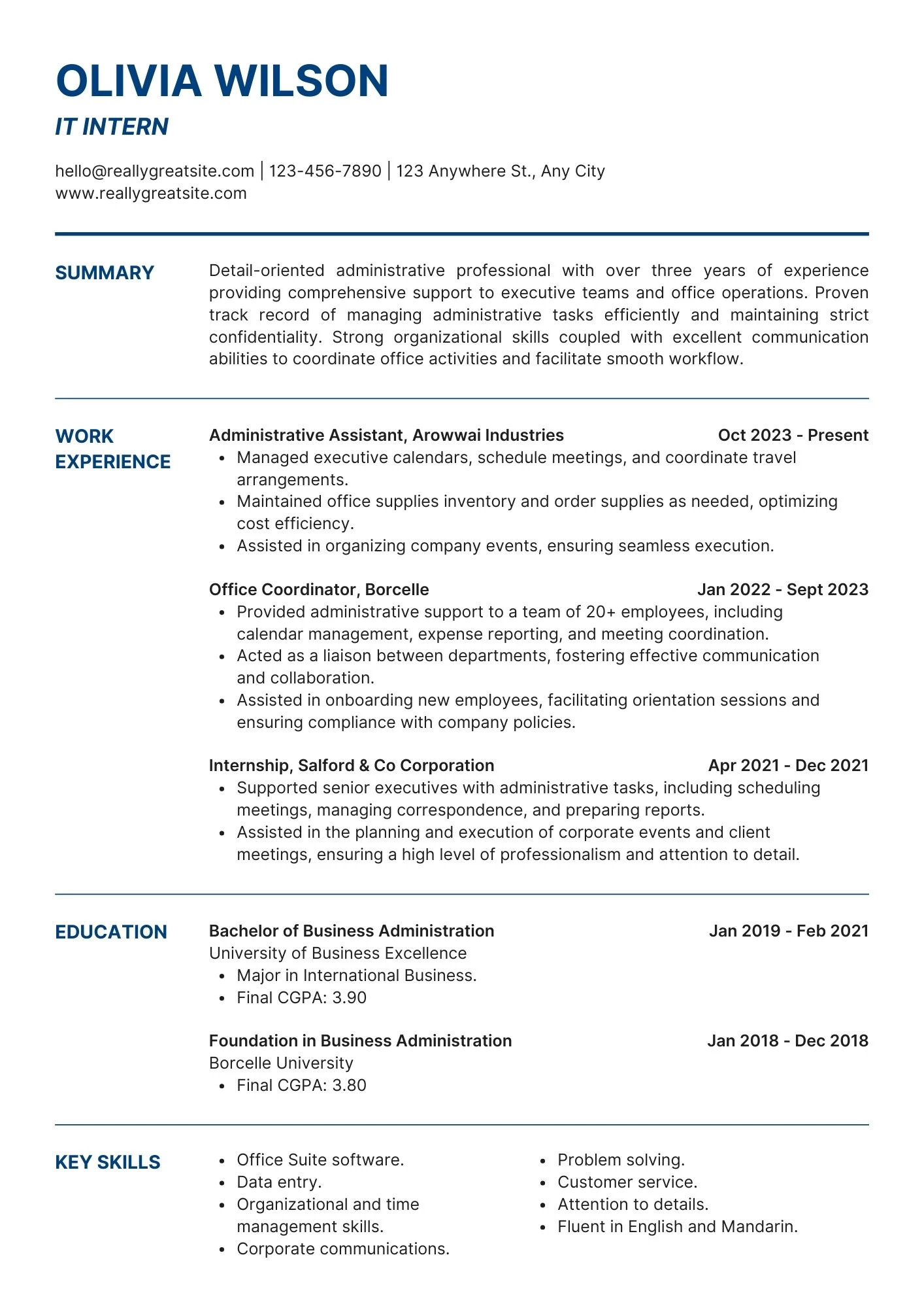 Mẫu CV thể hiện khả năng xử lý dữ liệu và bảo mật hệ thống
