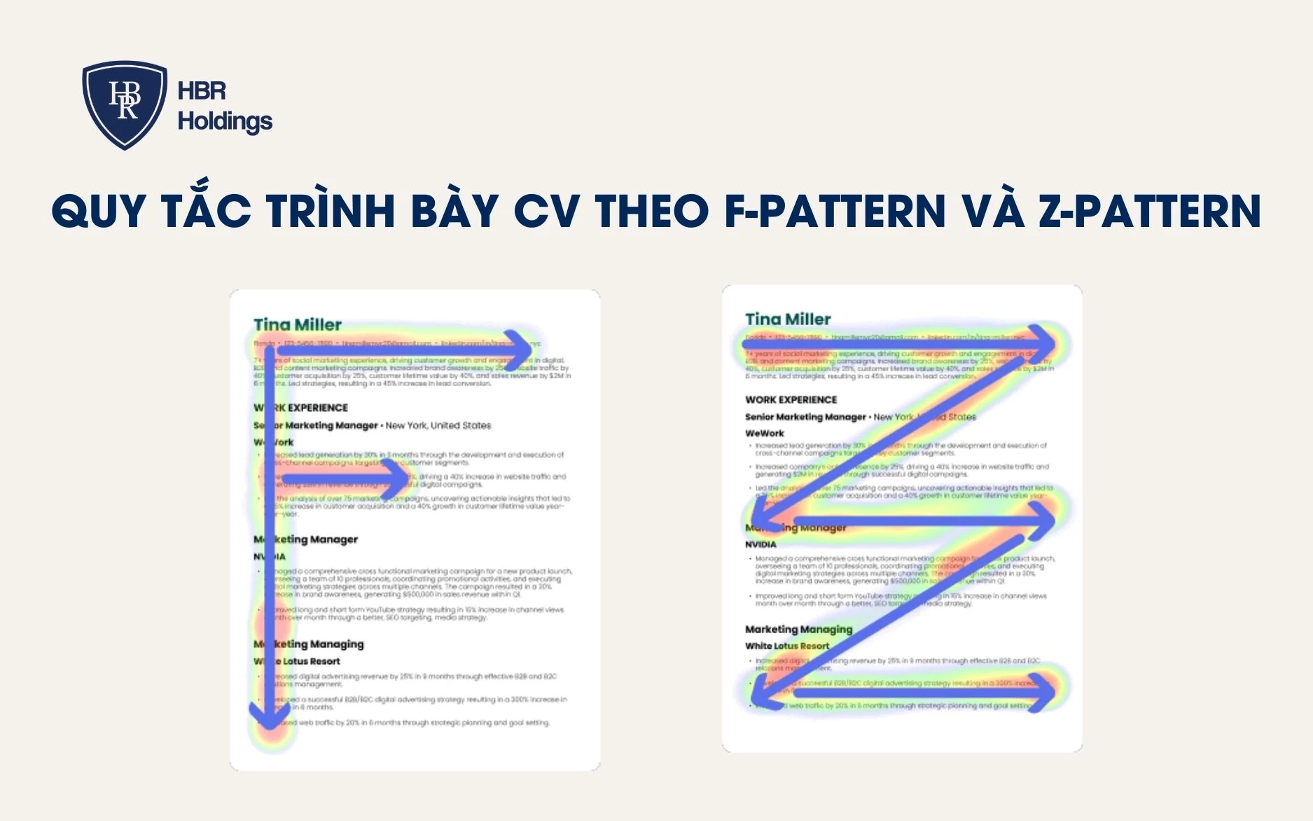 Quy tắc trình bày CV theo F-Pattern và Z-Pattern