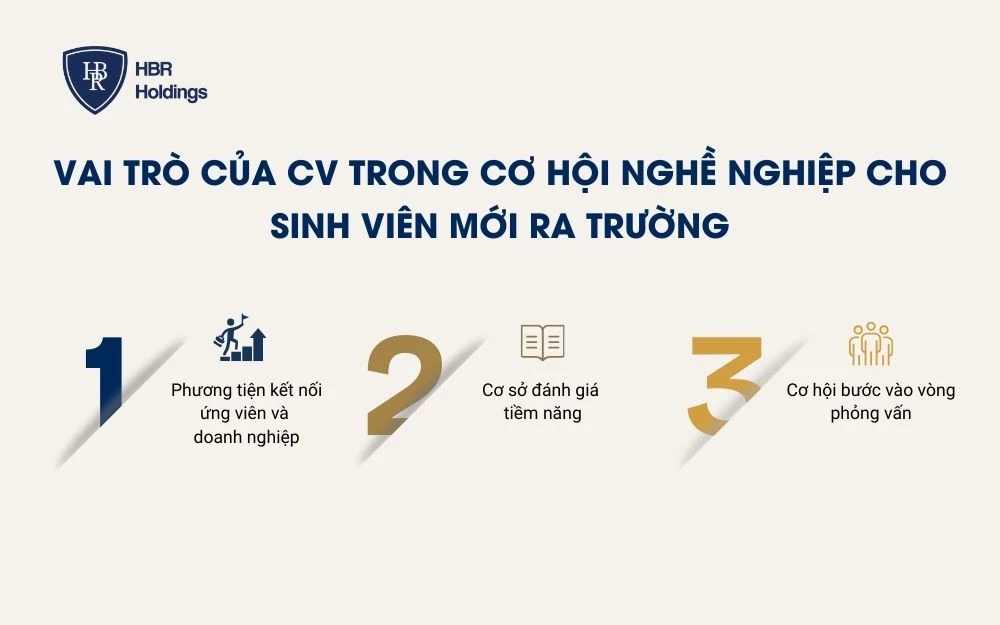 Vai trò của CV trong cơ hội nghề nghiệp cho sinh viên mới ra trường