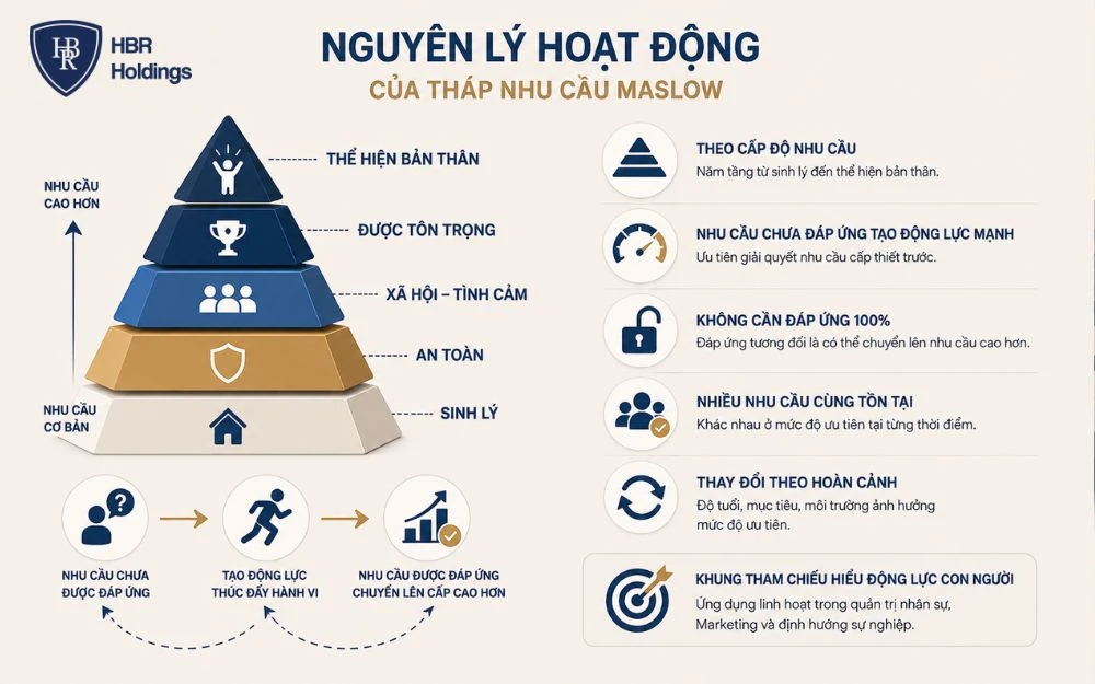 Tháp Maslow vận hành linh hoạt khi nhu cầu và mức ưu tiên thay đổi theo hoàn cảnh.